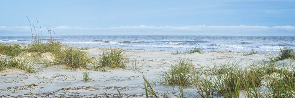 A large panoramic view of the Atlantic Ocean beach with sand dunes on Hilton Head Island
