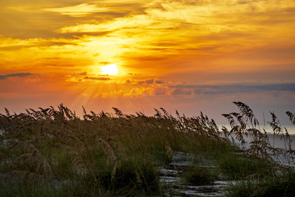 Atlantic Ocean sunrise above sand dunes and wind blown grasses