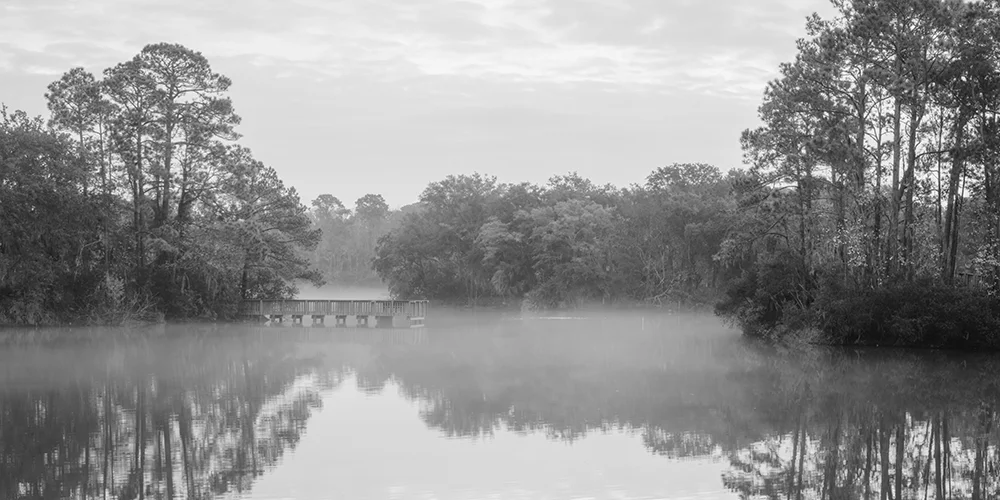 Black and white landscape view of Lake Mary in the Sea Pines Forest Preserve on a foggy morning