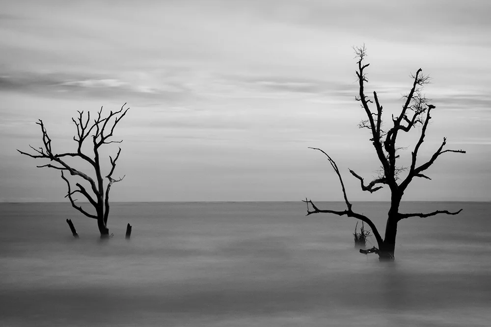 Long exposure photography image of two trees in ocean with blurred waves and sky