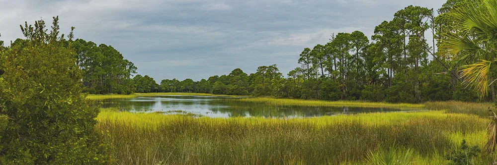 A secluded salt marsh pond on a cloudy day in Sea Pines on Hilton Head Island,.