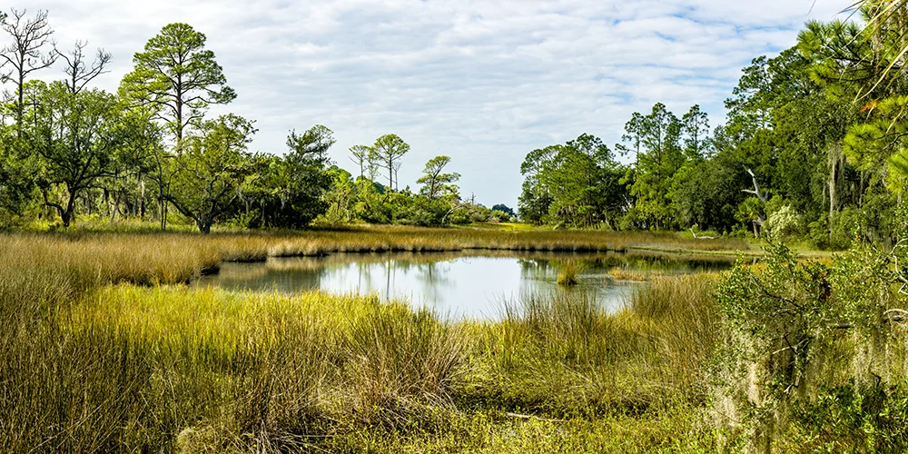 A low country salt marsh pond in a secluded area of Sea Pines on Hilton Head Island